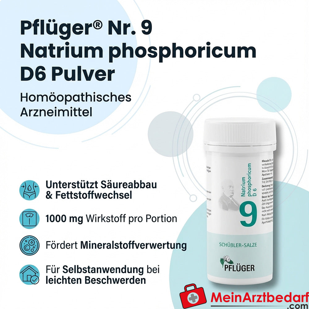 Biochemie Pflüger Nr. 9 Natrium phosphoricum D6 Pulver 1000 mg