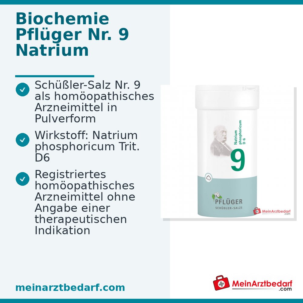 Biochemie Pflüger Nr. 9 Natrium phosphoricum D6 Pulver 100 g