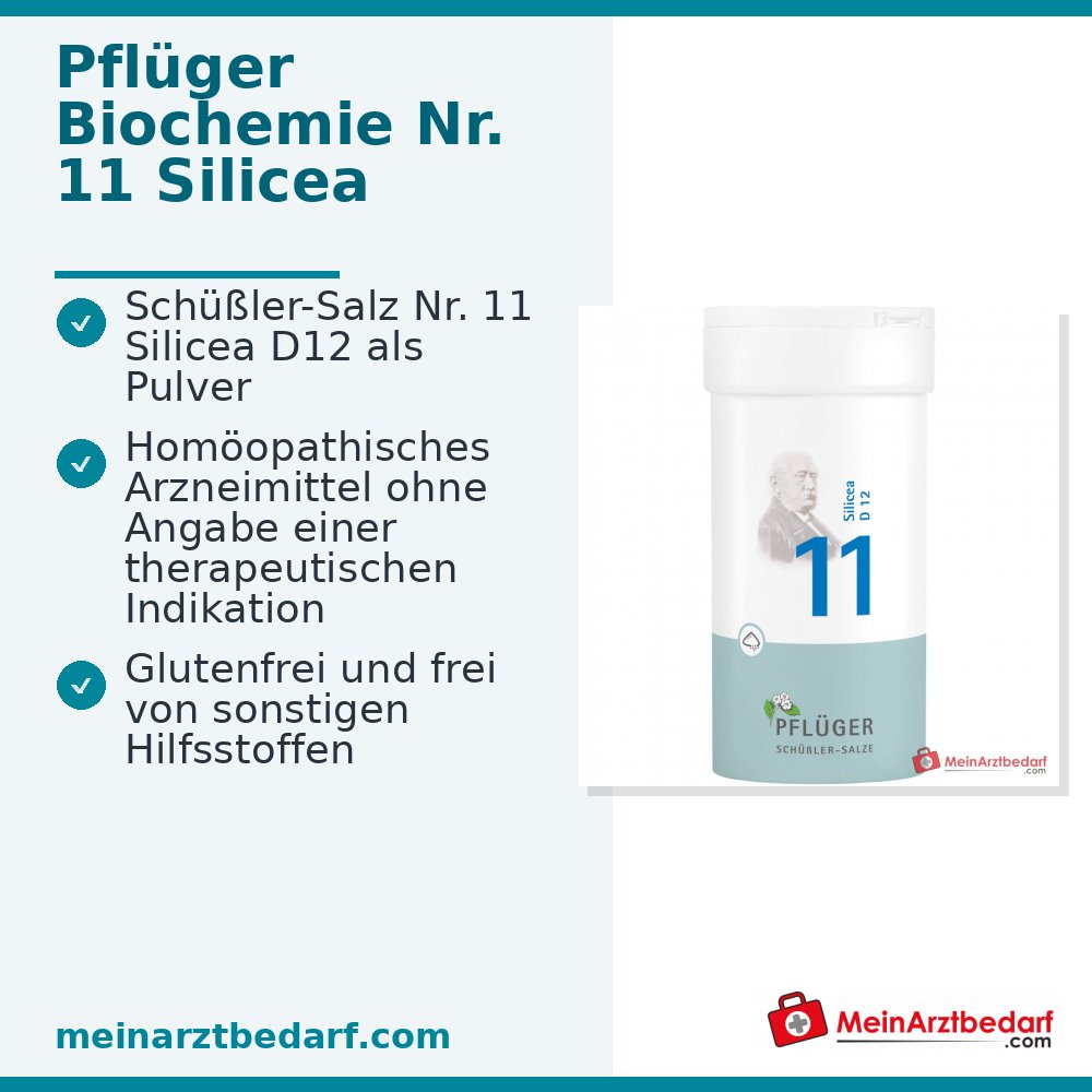 Biochemie Pflüger® Nr. 11 Silicea D12 Pulver 1000 mg