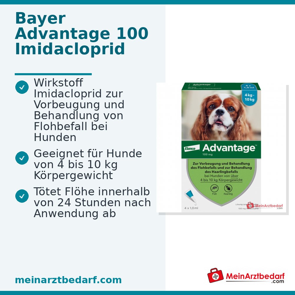 Advantage 100 Imidacloprid 100 mg/ml Spot-on Lösung Hund 4–10 kg 4 St