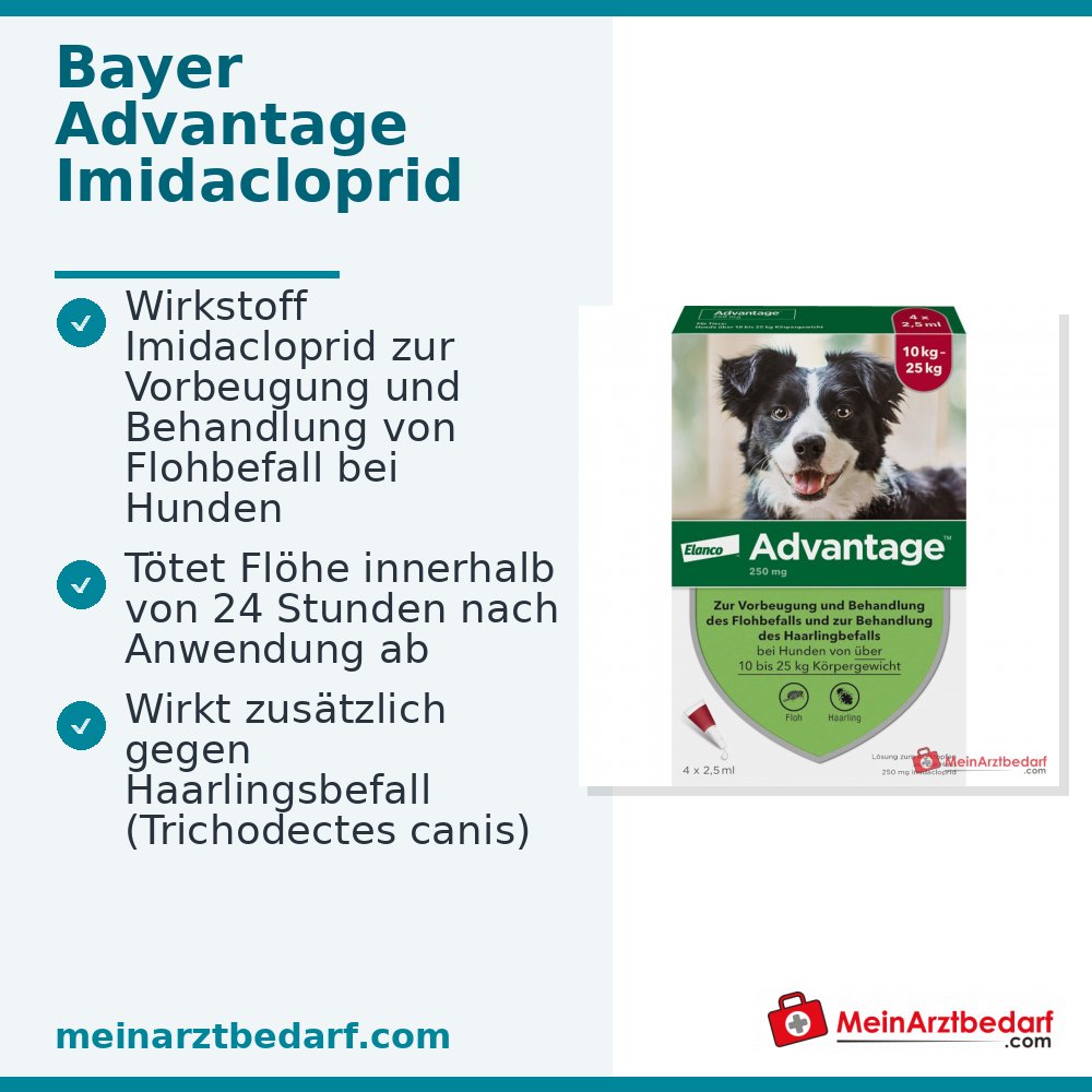 Advantage 250 Elanco Hund 100 mg Imidacloprid Spot-on Lösung 4 Stück