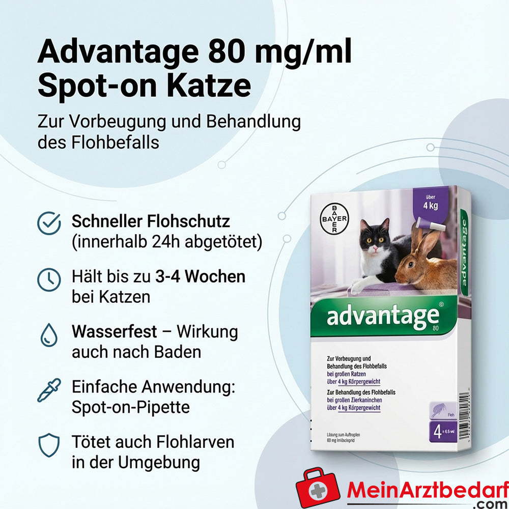 Advantage Imidacloprid 80 mg/ml Spot-on Katze 4 x 0,8 ml