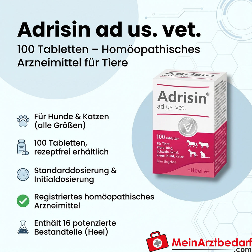 Adrisin ad us vet, 100 St