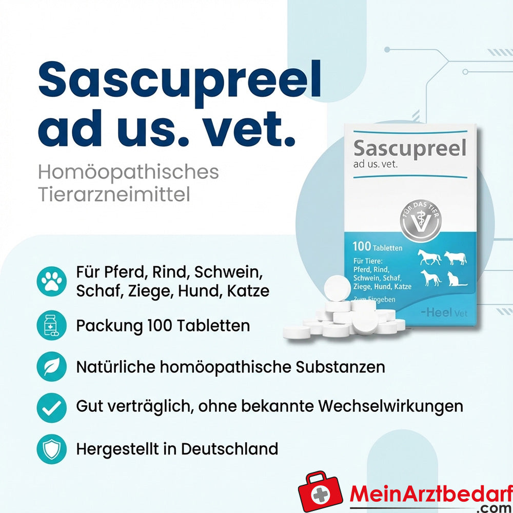 Sascupreel ad us vet, 100 St