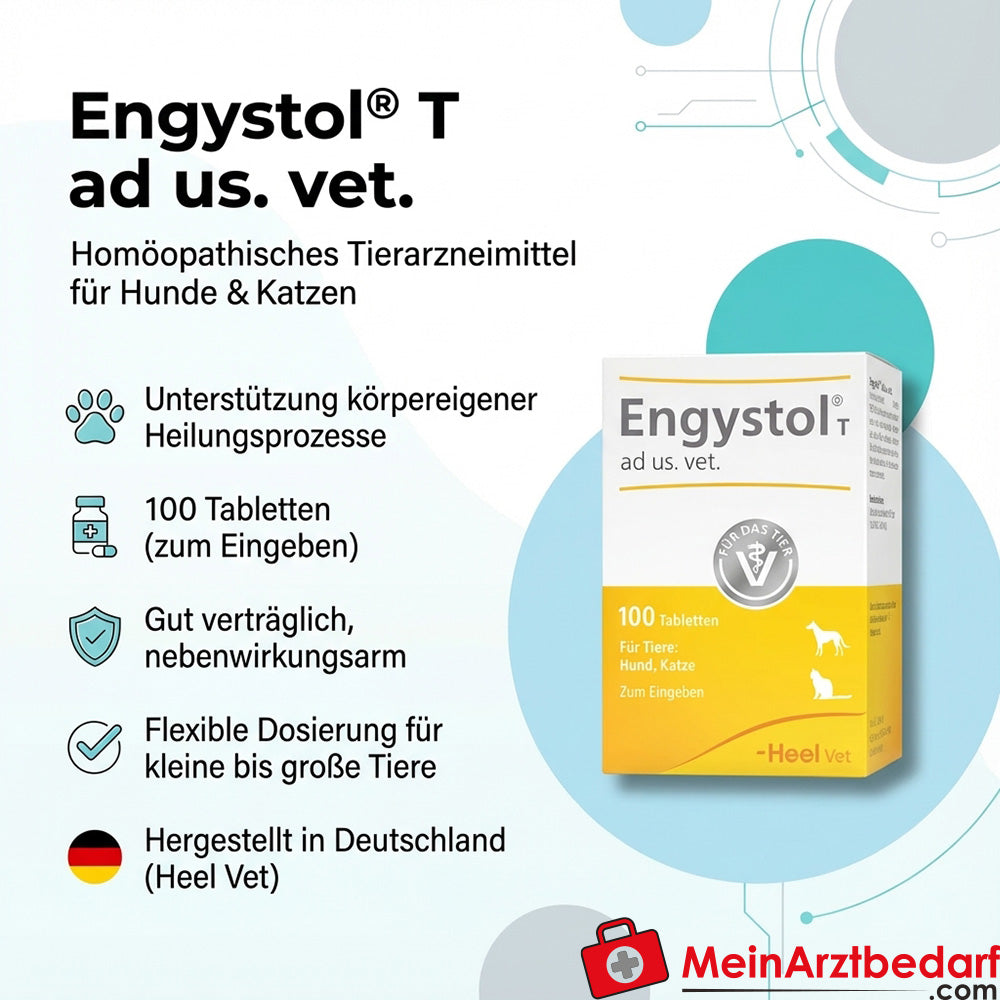 Engystol t ad us vet, 100 St