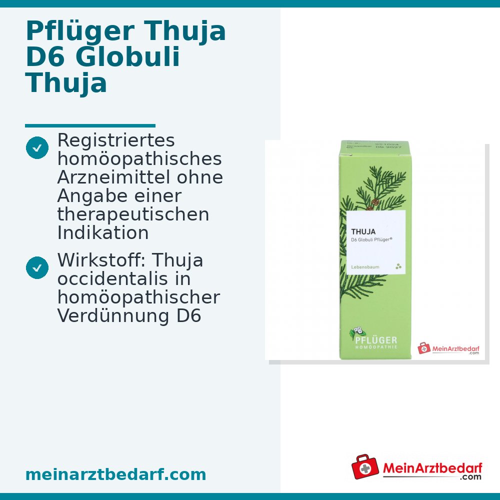 Pflüger Thuja D6 Globuli Thuja occidentalis D6 Streukügelchen 10 g