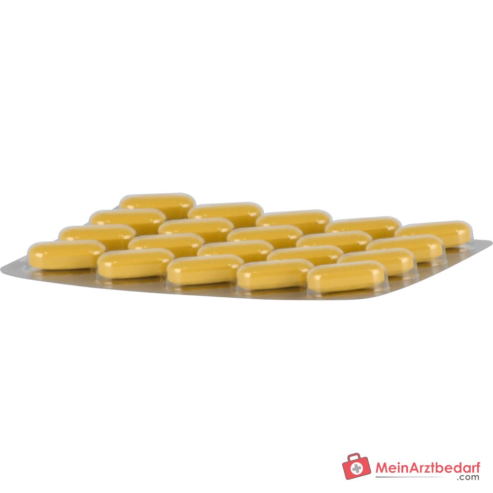 Dr. Willmar Schwabe Neuroplant Aktiv Estratto secco di iperico compresse rivestite 600 mg, 100 pezzi.