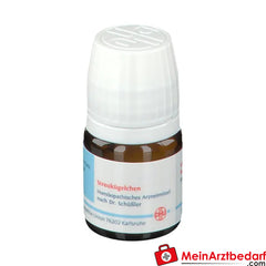 DHU Biochemie 11 Silicea D12.