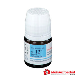 DHU Biochemie 12 Calcium sulfuricum D6.