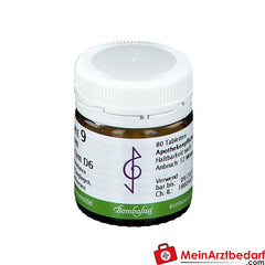 Bombastus Biochemie 9 Natrium phosphoricum D6.