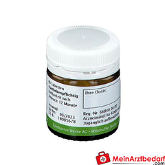 Bombastus Biochemie 9 Natrium phosphoricum D6.