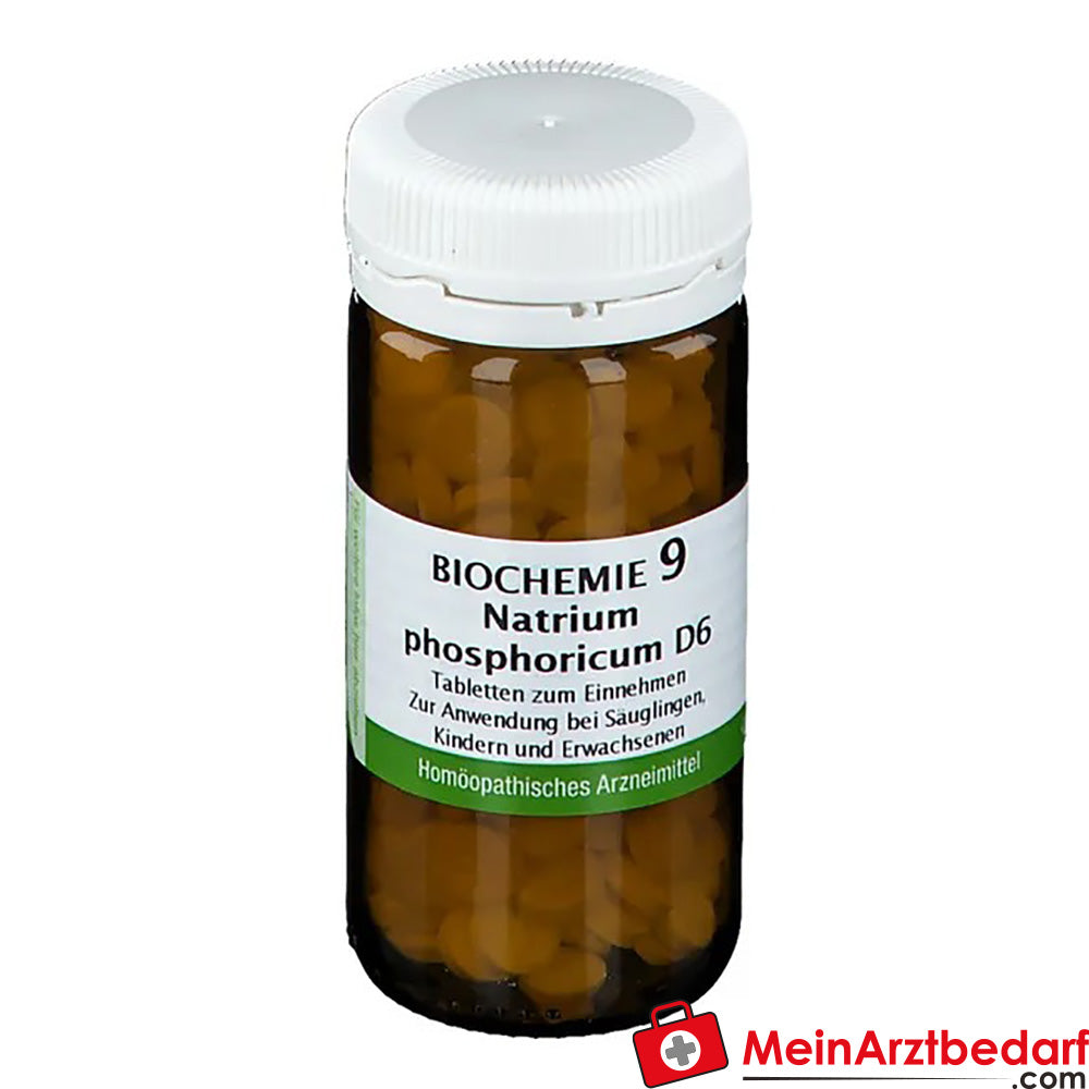 Bombastus Biochemie 9 Natrium phosphoricum D6.