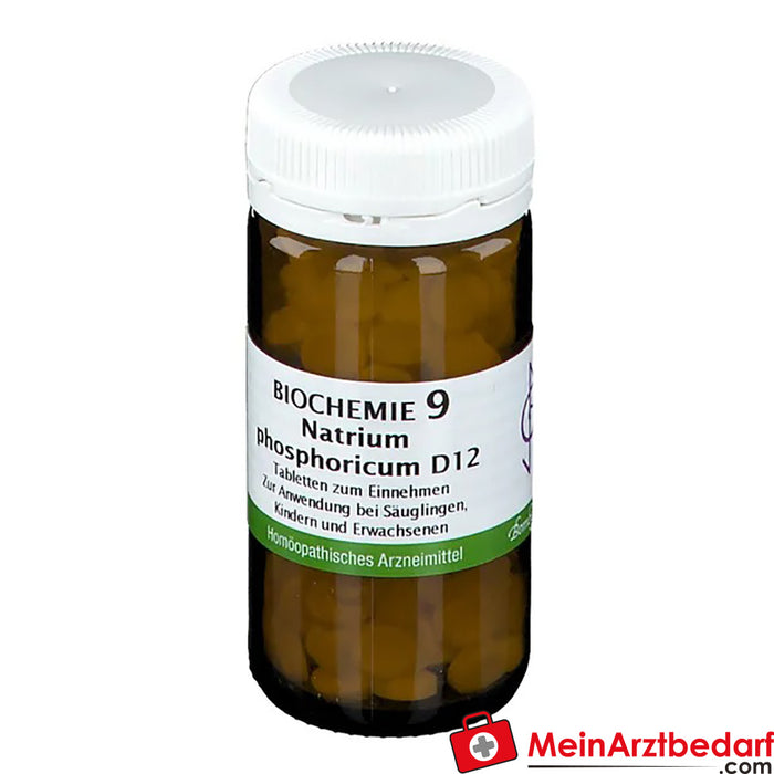 Bombastus Biochemie 9 Natrium phosphoricum D 12 Tabletten