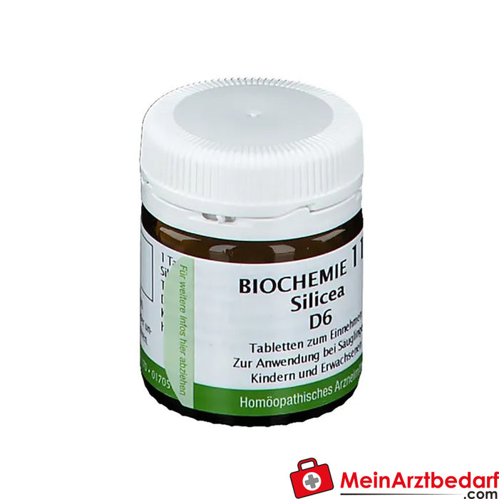 Bombastus Bioquímica 11 Silicea D 6 Comprimidos