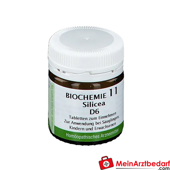 Bombastus Biochemistry 11 Silicea D 6 片装