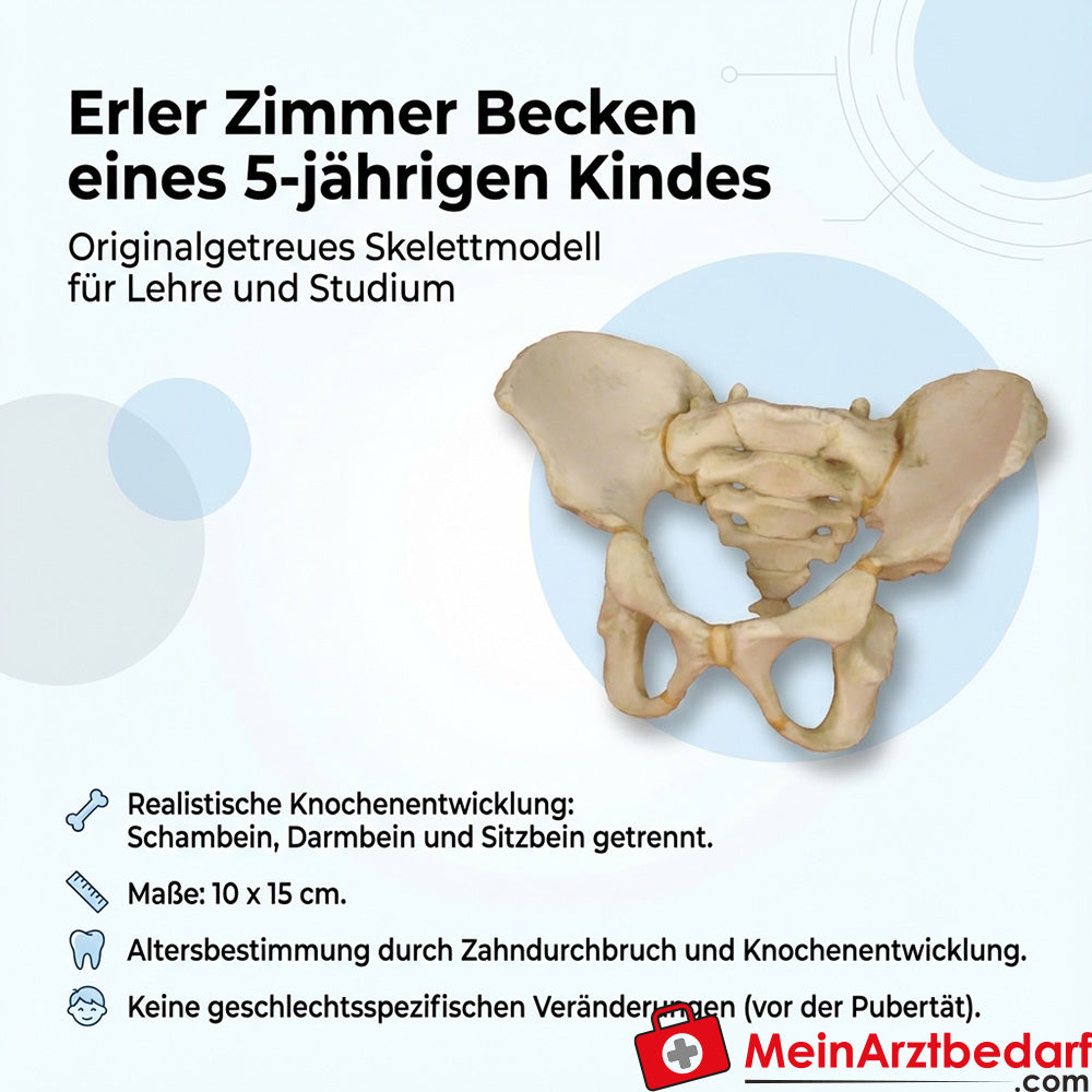 Erler Zimmer Bekken van een 6-jarig kind