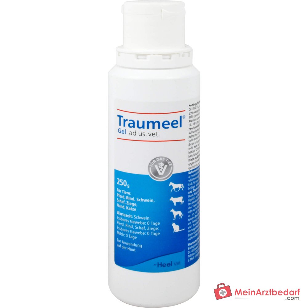 Traumeel Gel ad us. dierenarts. homeopathisch geneesmiddel 250 g