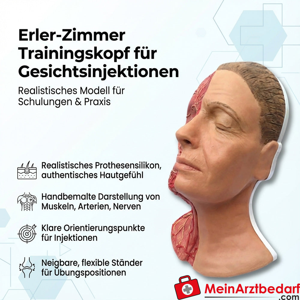 Testa di addestramento Erler Zimmer per iniezioni facciali, protesi in silicone, muscoli/arterie/nervature