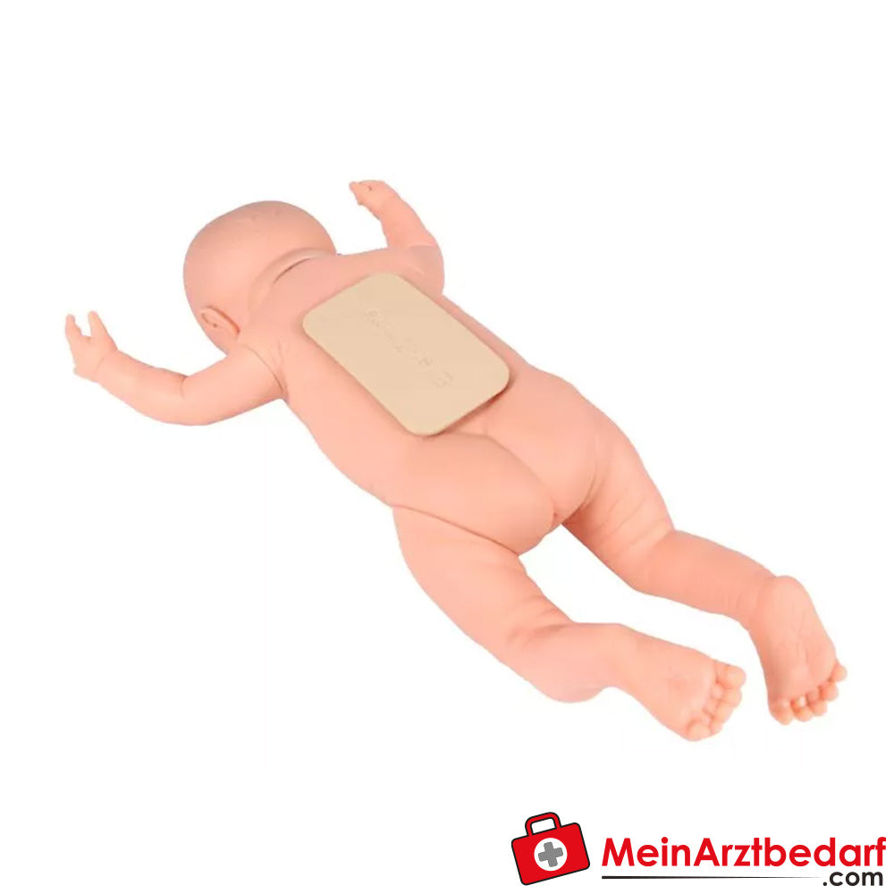 Erler-Zimmer practice baby nursing training