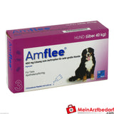 Amflee 402 mg für Hunde (40-60 kg), 3 St