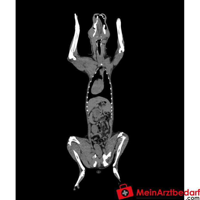 CT ve X-ray için Erler Zimmer köpek fantomu
