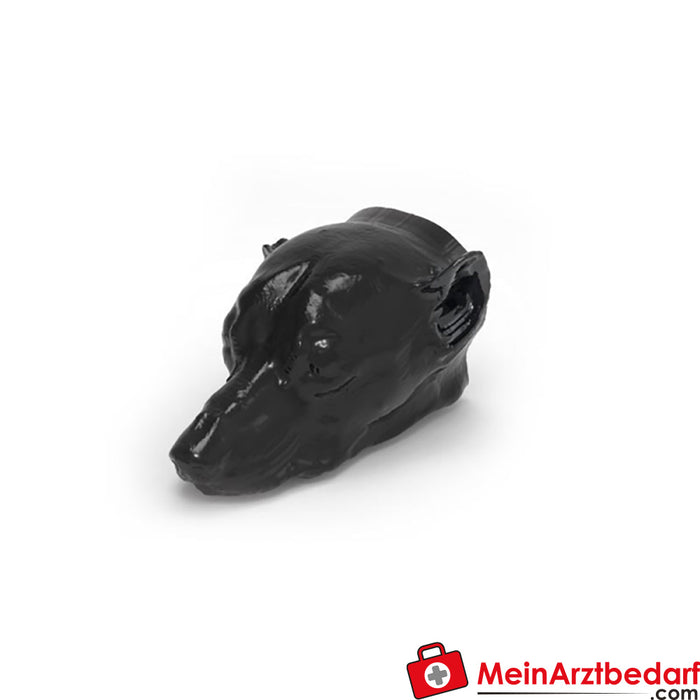 Erler Zimmer Dog head - phantom for CT and X-ray