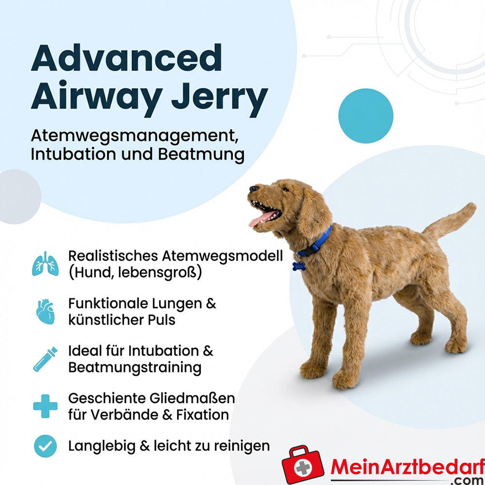 Erler Zimmer Advanced Airway Jerry manichino a grandezza naturale per la gestione delle vie aeree, l'intubazione e la ventilazione