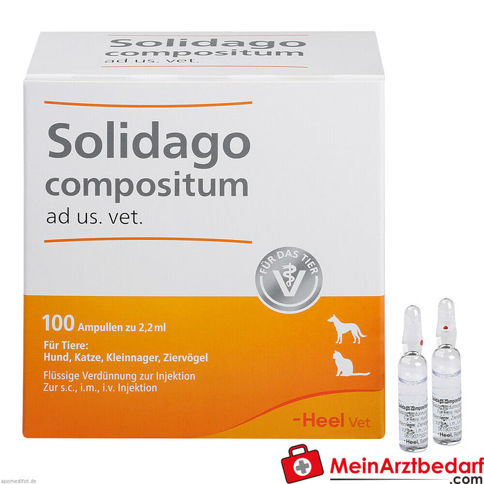 Solidago comp ad us vet 100 St