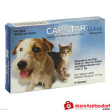Capstar C. felis 11,4 mg Nitenpyram, 6 szt.