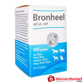 Bronheel ad us vet 500 St.