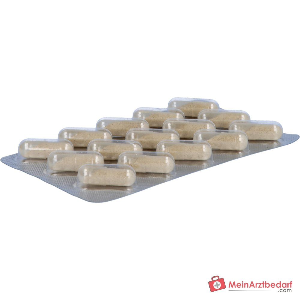 Luvos Heilerde Bio Bitterquell Plus Calcium / Artischocke / Pfefferminze / Löwenzahnwurzel / Heilerde Kapseln, 30 St..