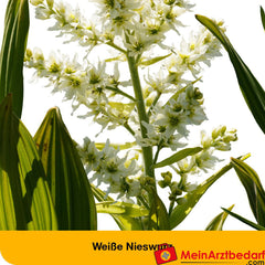 dystoLoges® Tropfen.