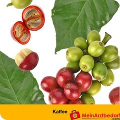 dystoLoges® Tropfen.