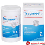 Traumeel lt ad us vet 250 St.