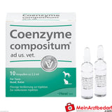 Coenzyme comp ad us vet 10 St