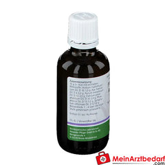 Pflügerplex® Asa foetida 139 H.