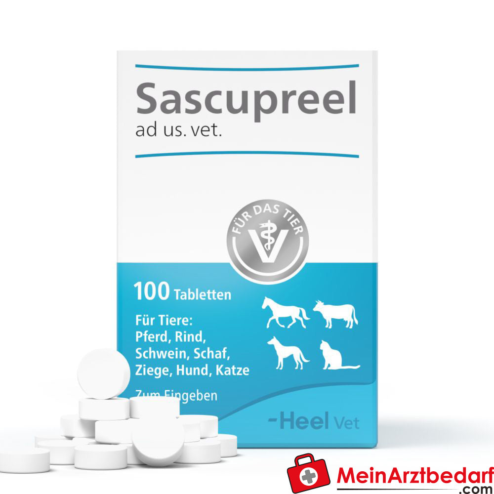 Sascupreel ad us vet, 100 St