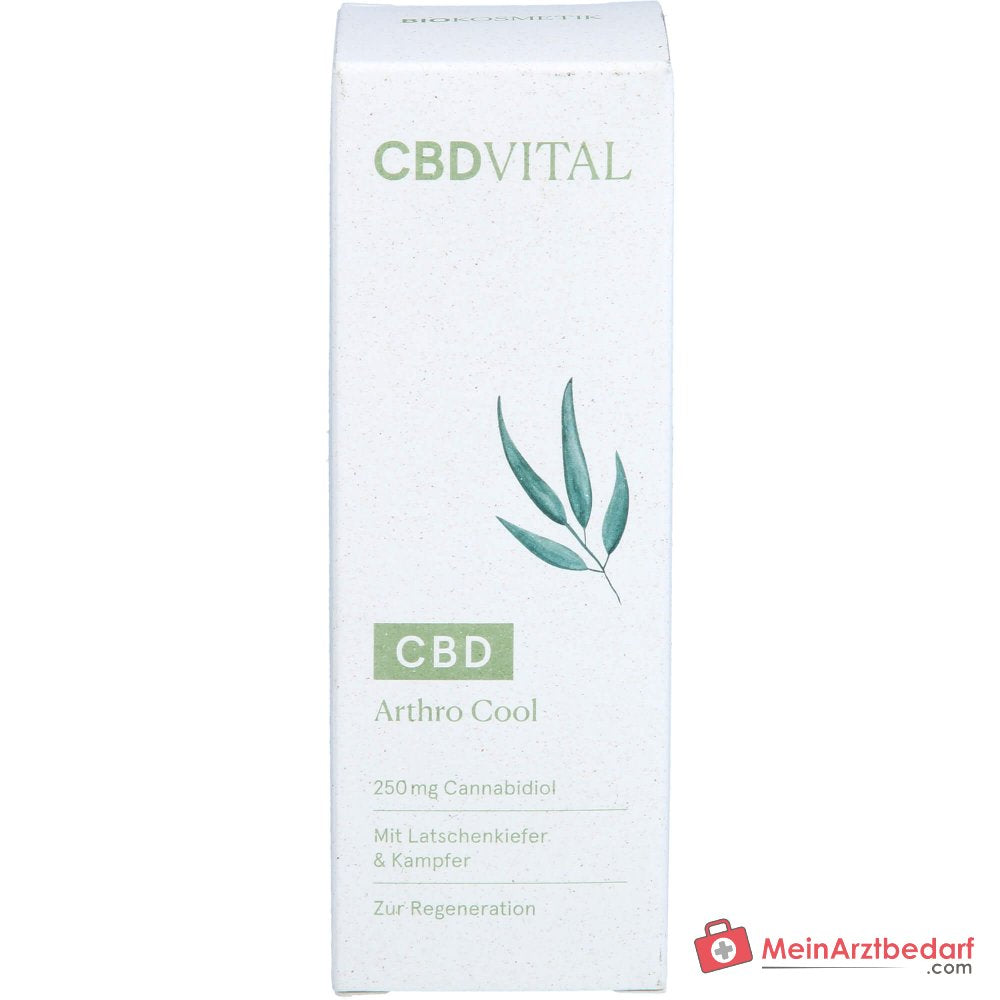 CBD VITAL CBD Arthro pomada refrescante con cannabidiol (CBD) refrescante