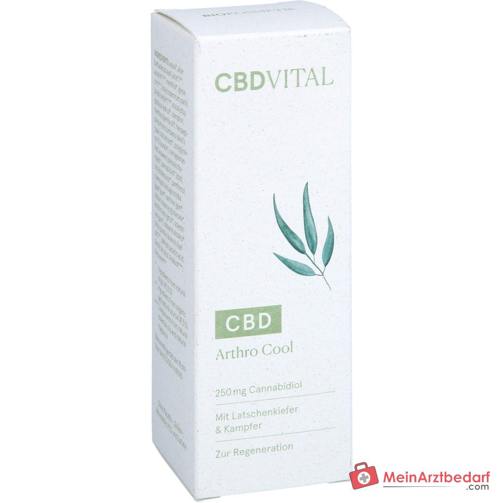 CBD VITAL CBD Arthro pomada refrescante con cannabidiol (CBD) refrescante
