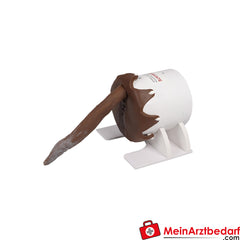 Erler-Zimmer Rektaler Untersuchungssimulator Hund.