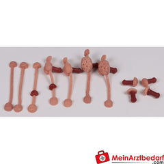 Erler-Zimmer Rektaler Untersuchungssimulator Hund.