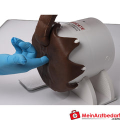 Erler-Zimmer Rektaler Untersuchungssimulator Hund.