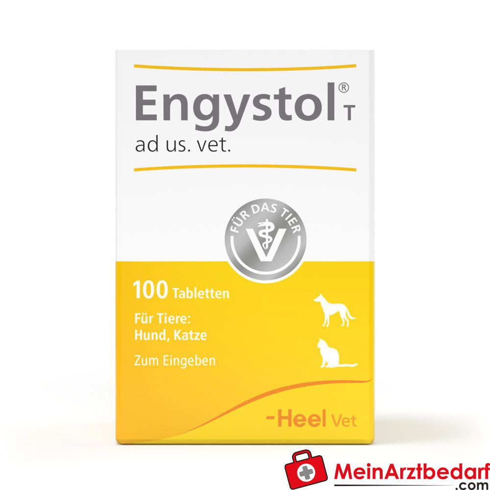 Engystol t ad us vet, 100 St