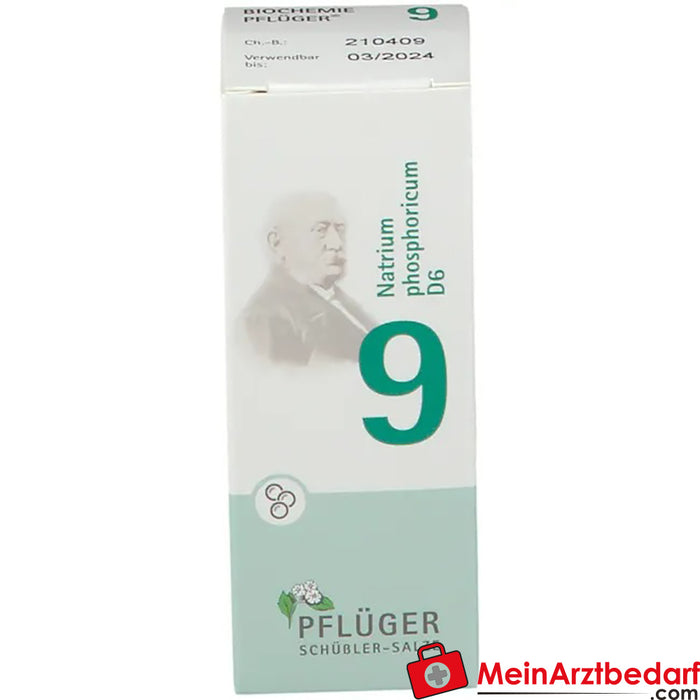 BIOCHEMIE PFLÜGER® Nr. 9 Natriumfosforicum D6