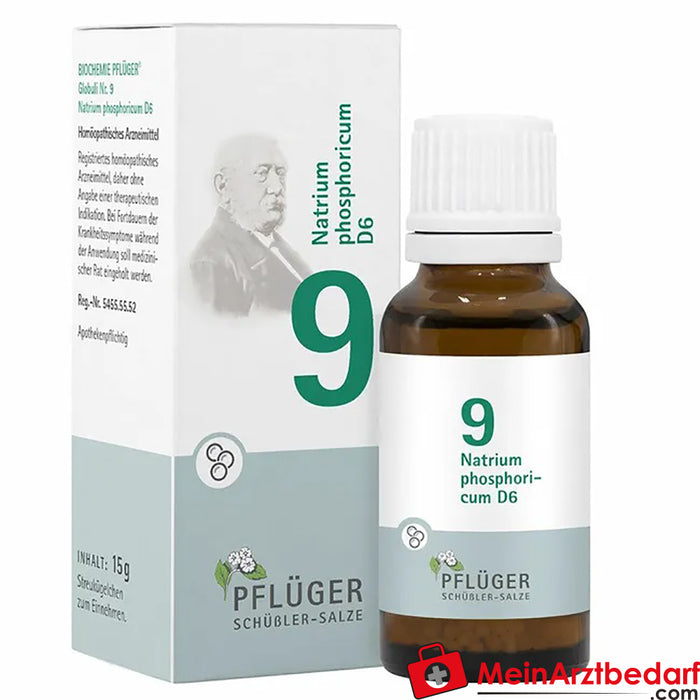 BIOCHEMIE PFLÜGER® Nº 9 Fósforo sódico D6