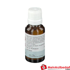 BIOCHEMIE PFLÜGER® Nr. 20 Kalium aluminium sulfuricum D12.