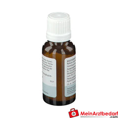 BIOCHEMIE PFLÜGER® Nr. 20 Kalium aluminium sulfuricum D12.