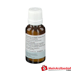 BIOCHEMIE PFLÜGER® No. 21 Zincum chloratum D12.