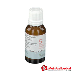 BIOCHEMIE PFLÜGER Nr. 5 Kalium phosphoricum D6.