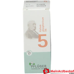 BIOCHEMIE PFLÜGER Nr. 5 Kalium phosphoricum D6.